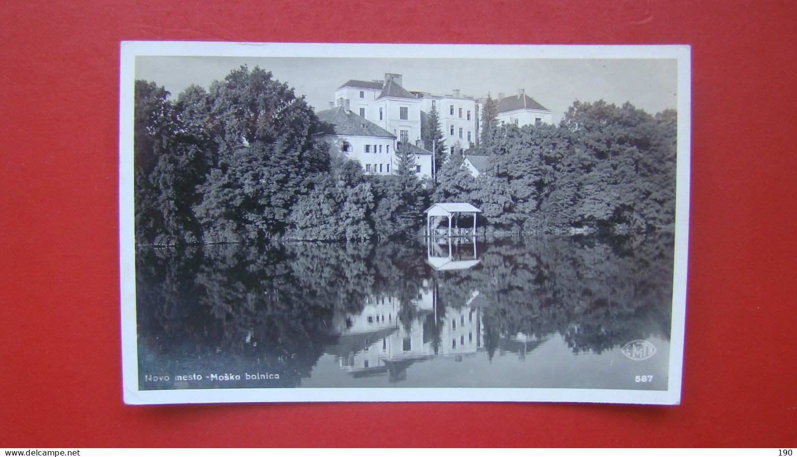 Novo Mesto -Moska Bolnica.Men Hospital - Slovénie