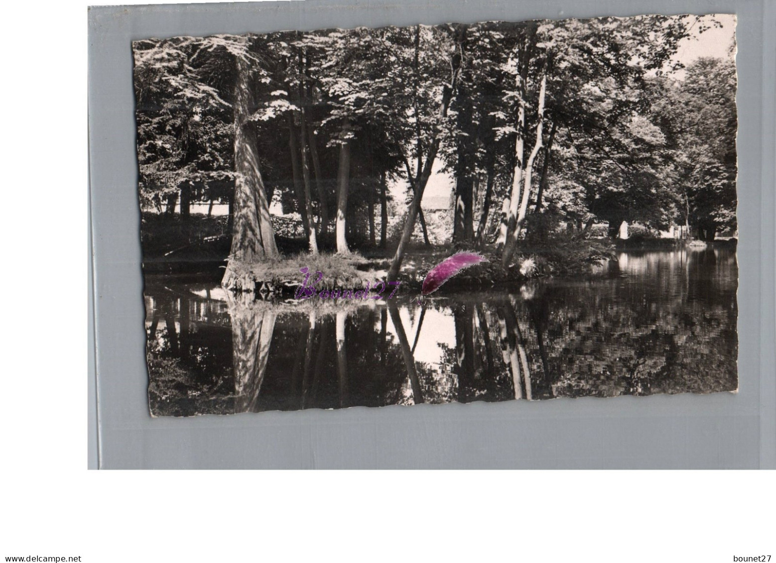 CPSM - SUCY EN BRIE 94 - L'Etang Du Grand Val Reflet Arbre Dans L'eau 1960 - Sucy En Brie