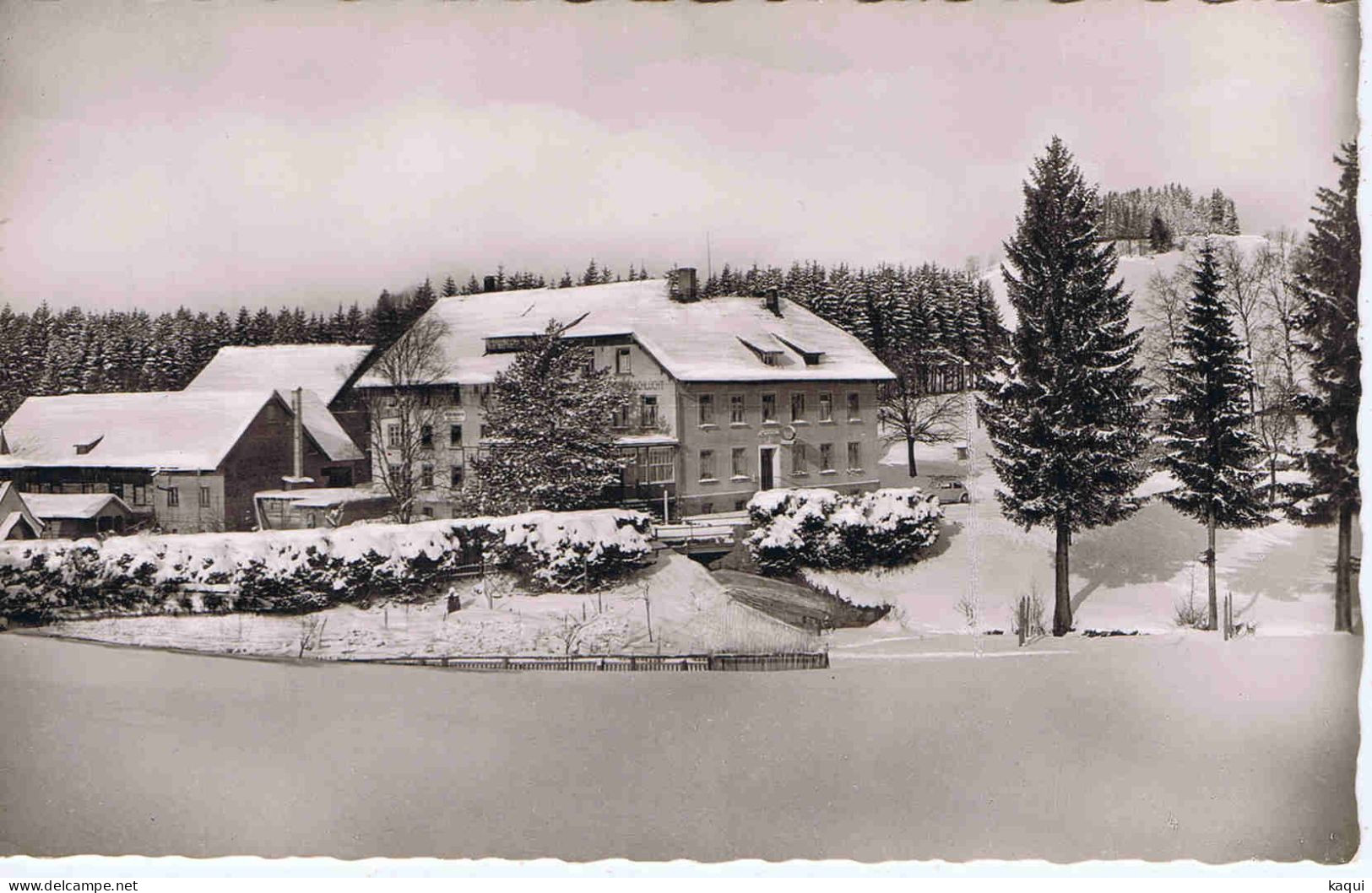 ALLEMAGNE - BREITNAU - HINTERZARTEN - Gasthof Und Pension Ravennaschlucht - Gebr. Metz - Hinterzarten