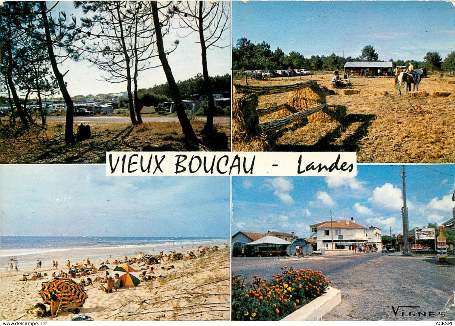 LANDES VIEUX BOUCAU CAMPING MUNICIPAL LA PLGE EQUITATION LE VILLAGE (scan Recto-verso) KEVREN0543 - Vieux Boucau