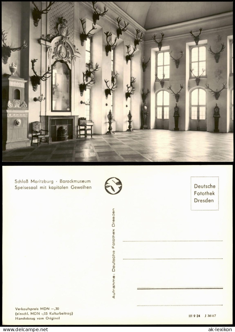 Moritzburg Schloß Moritzburg Barockmuseum Speisesaal Mit Kapitalen Geweihen 1967 - Moritzburg