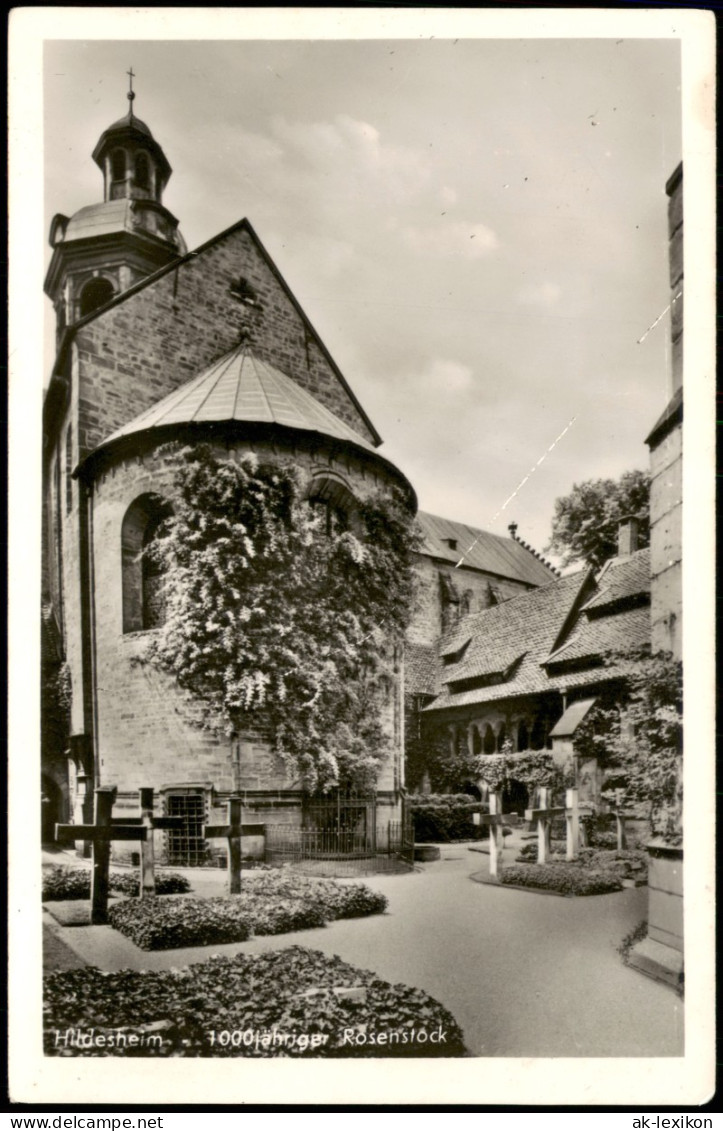 Ansichtskarte Hildesheim 1000-jähriger Rosenstock 1940 - Hildesheim