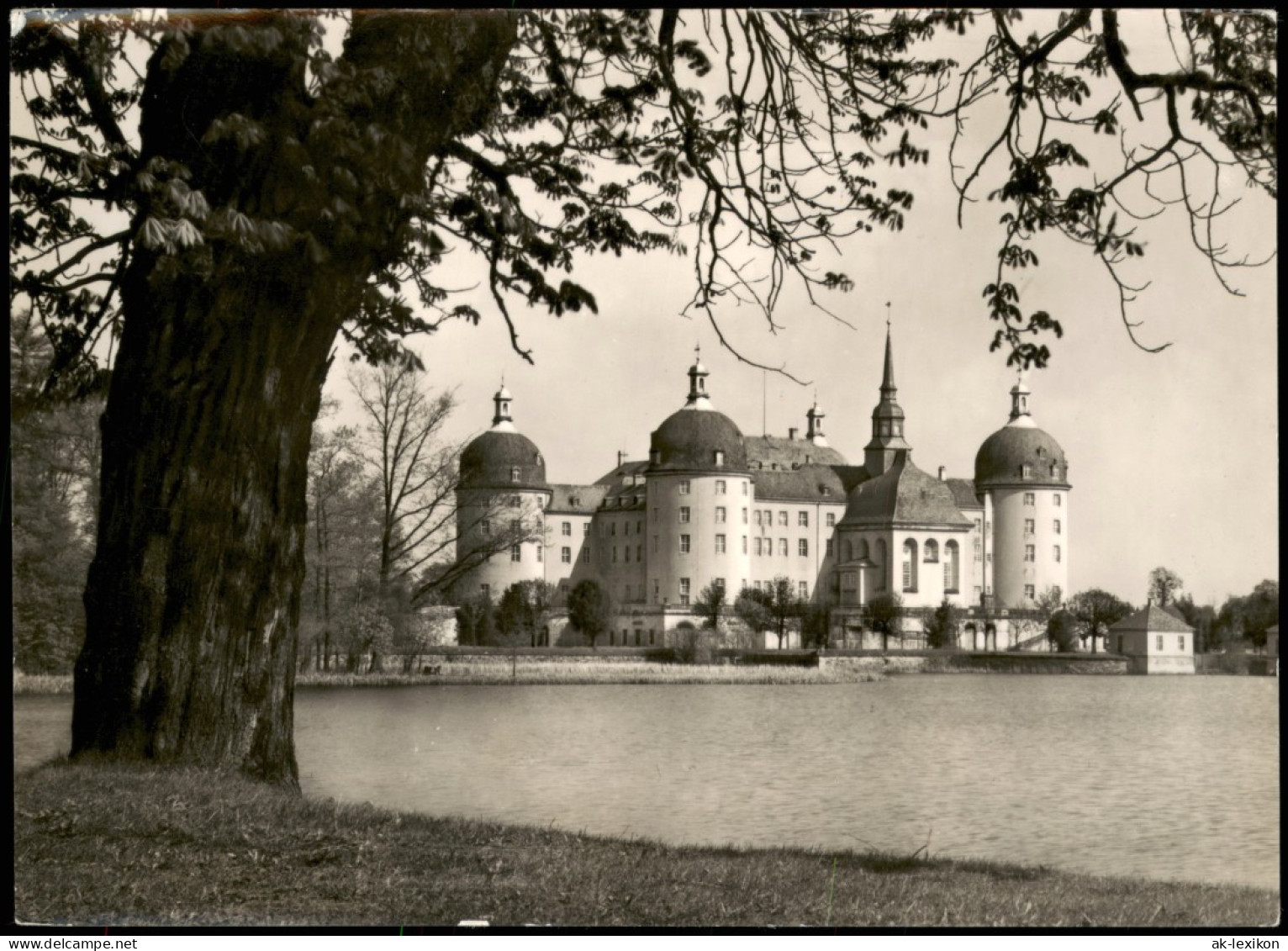 Ansichtskarte Moritzburg Kgl. Jagdschloss 1958 - Moritzburg
