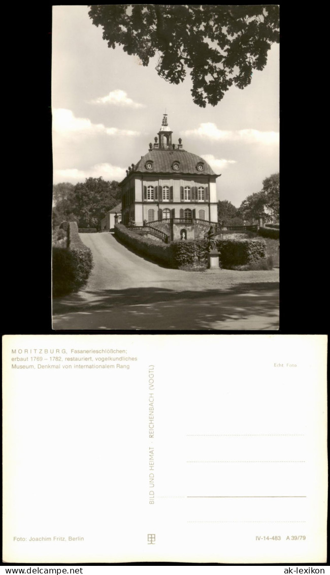 Ansichtskarte Moritzburg Kgl. Jagdschloss 1979 - Moritzburg