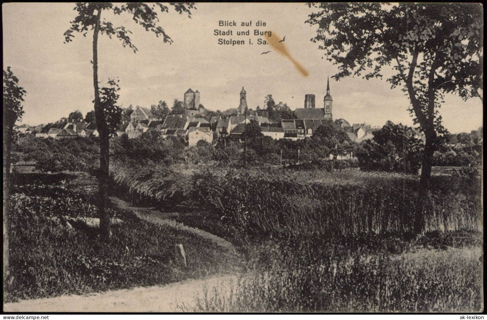 Ansichtskarte Stolpen Blick Auf Die Stadt Und Burg Stolpen Sachsen 1910 - Stolpen