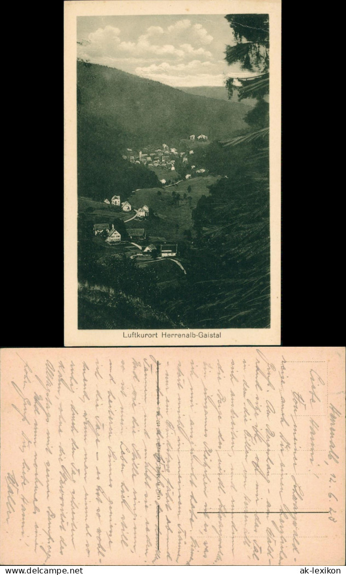 Ansichtskarte Bad Herrenalb Gaistal 1923 - Bad Herrenalb