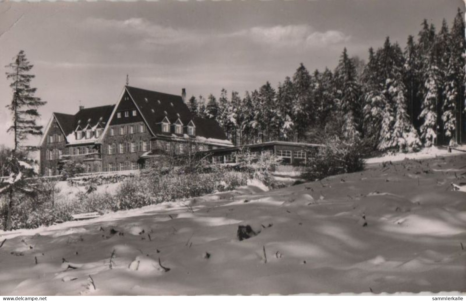 83834 - Altena-Dahle - Haus Kohlberg - 1962 - Altena