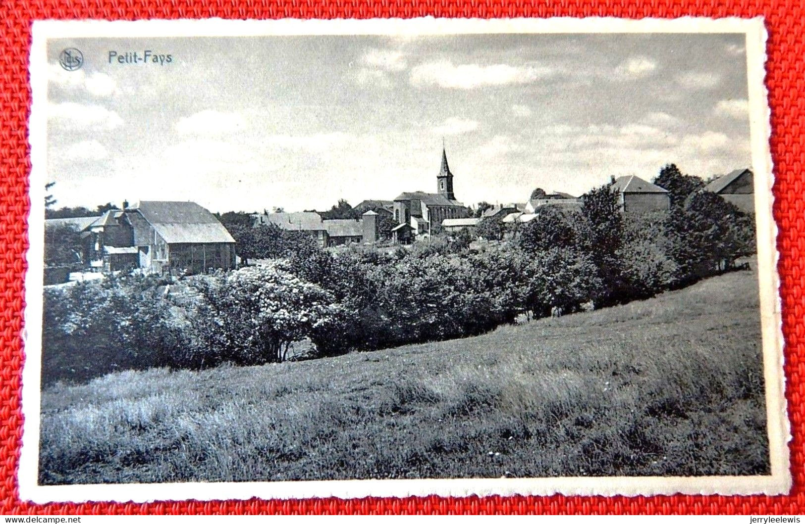PETIT-FAYS  - Panorama Du Village - Bievre