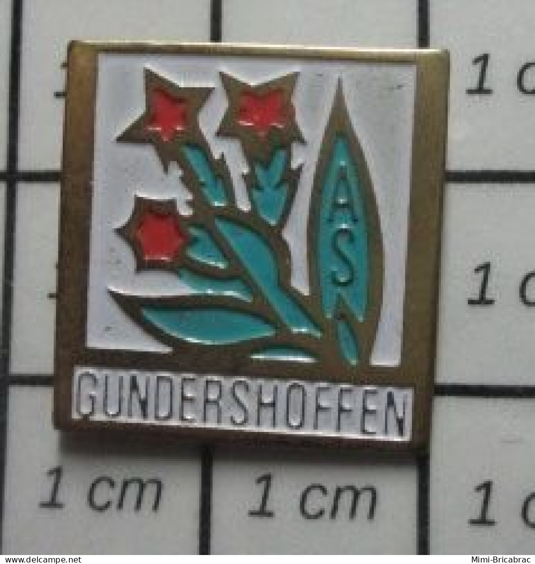 121 Pin's Pins / Beau Et Rare / VILLES / GUNDERSHOFFEN CHARDON ? FLEUR ROUGE - Steden