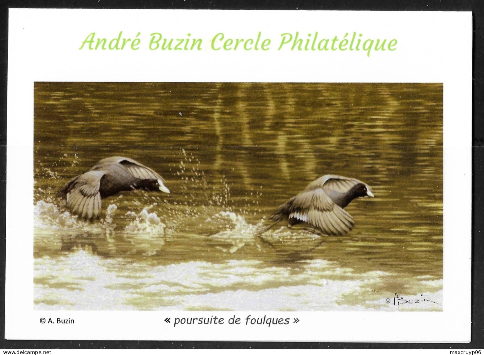 Carte De Voeux De ABCP: Poursuite De Foulques. - 1985-.. Oiseaux (Buzin)