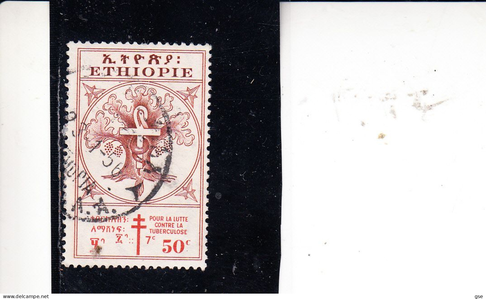 ETIOPIA   1951 - Yvert   306° - Tubercolosi - Ethiopie