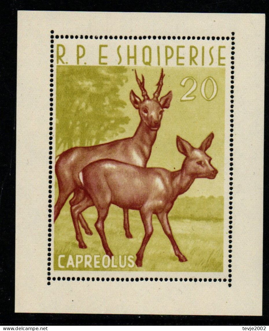 Albanien 1962 - Mi.Nr. Block 15 - Postfrisch MNH - Tiere Animals Rehe Deers - Animalez De Caza