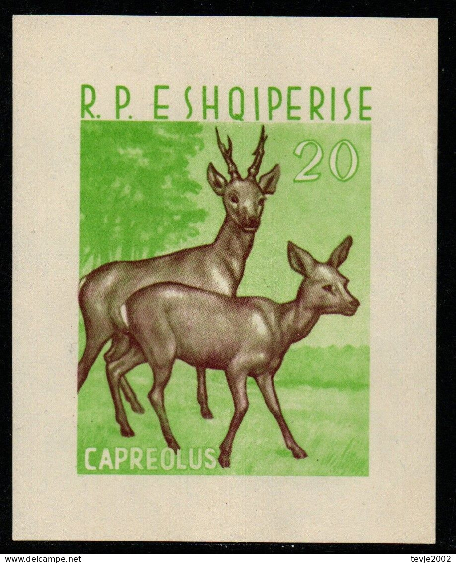 Albanien 1962 - Mi.Nr. Block 16 - Postfrisch MNH - Tiere Animals Rehe Deers - Wild
