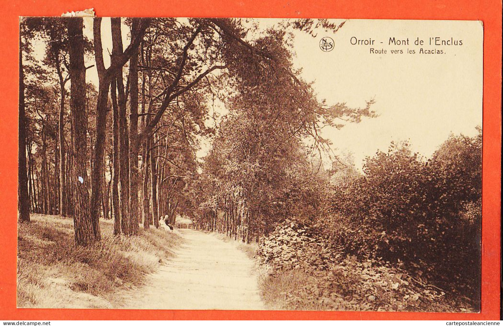 14895 /⭐ ORROIR Hainaut Mont ENCLUS Route Vers Les ACACIAS 1920 à WILLIOT Paris-OVAERT België Henegouwen Kluisbergen - Mont-de-l'Enclus