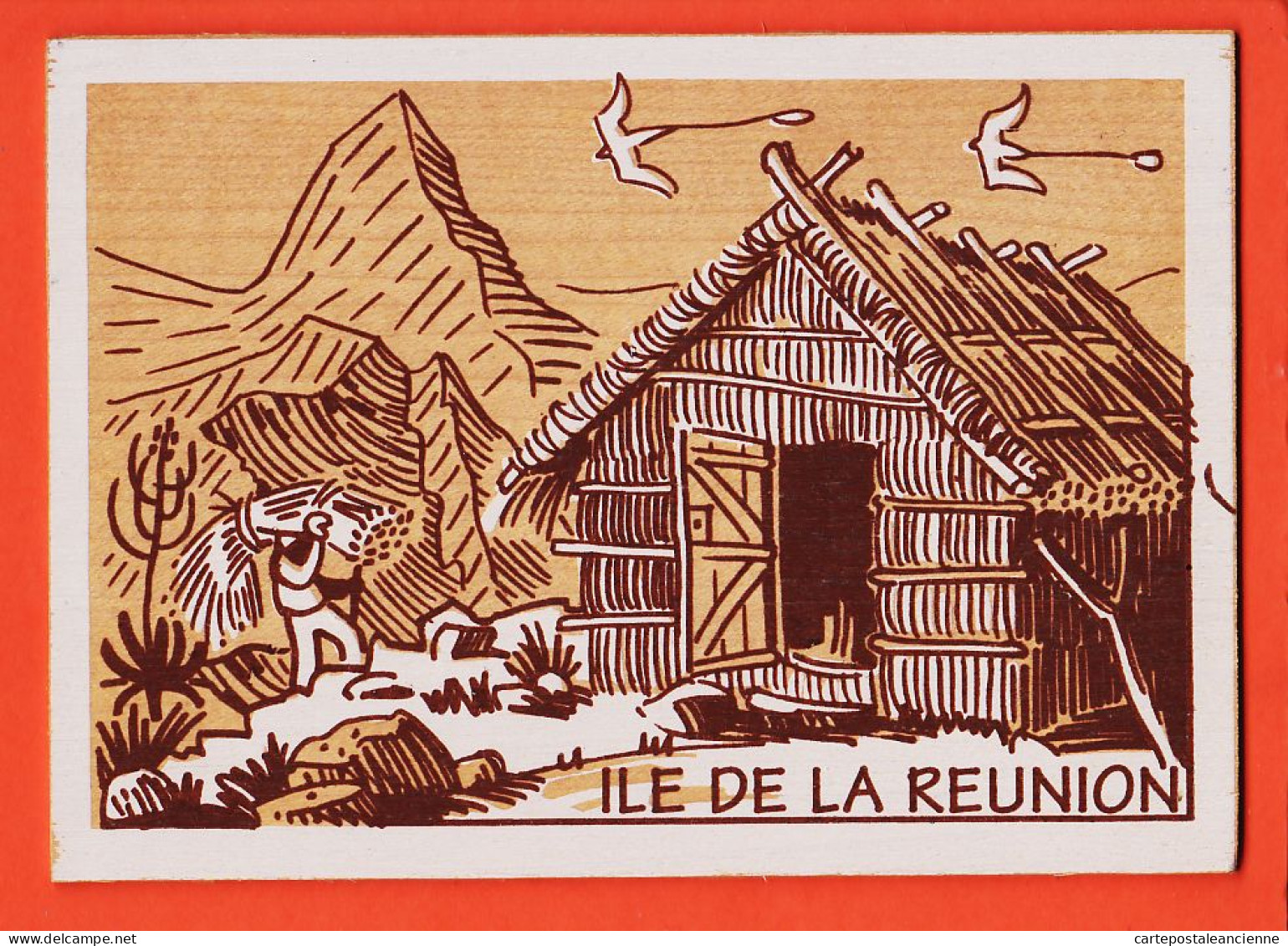 14922 /⭐ Carte Bois ILET-aux-ORANGERS Reunion Case 1993 à Antoinette COLONETTI Roquecourbe TILT COLIMACONS Saint-Leu - Autres & Non Classés