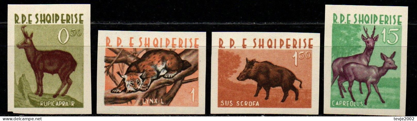 Albanien 1962 - Mi.Nr. 704 - 707 - Postfrisch MNH - Tiere Animals - Animalez De Caza