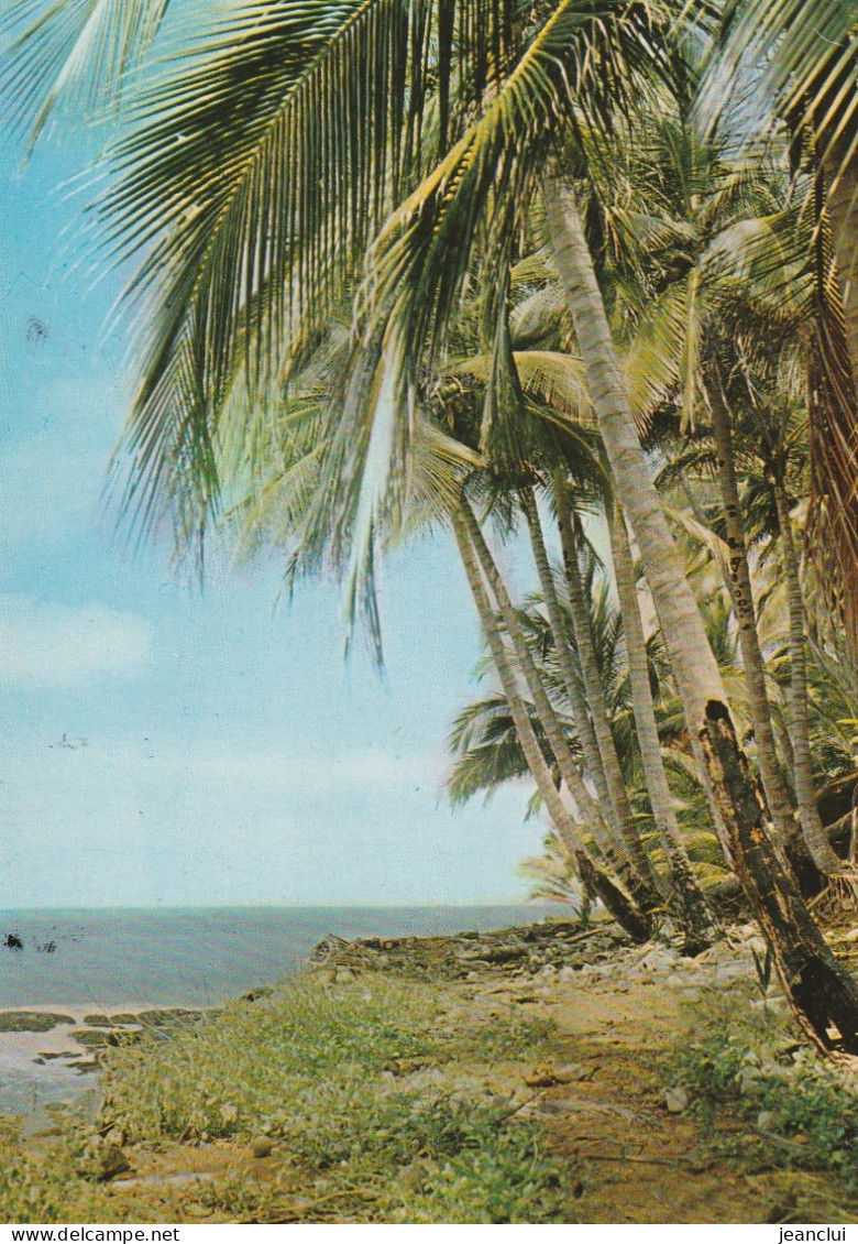 CPM  .  GUYANE FRANCAISE  .  ILES DU SALUT  -  SAINT-JOSEPH    .  CARTE ECRITE AU VERSO - Guyana (ex-Guyane Britannique)