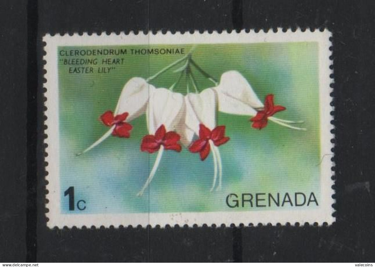 GRENADA - 1975 - Clerodendrum Thomsoniae - MNH Stamp   MyRef:N - Grenade (1974-...)