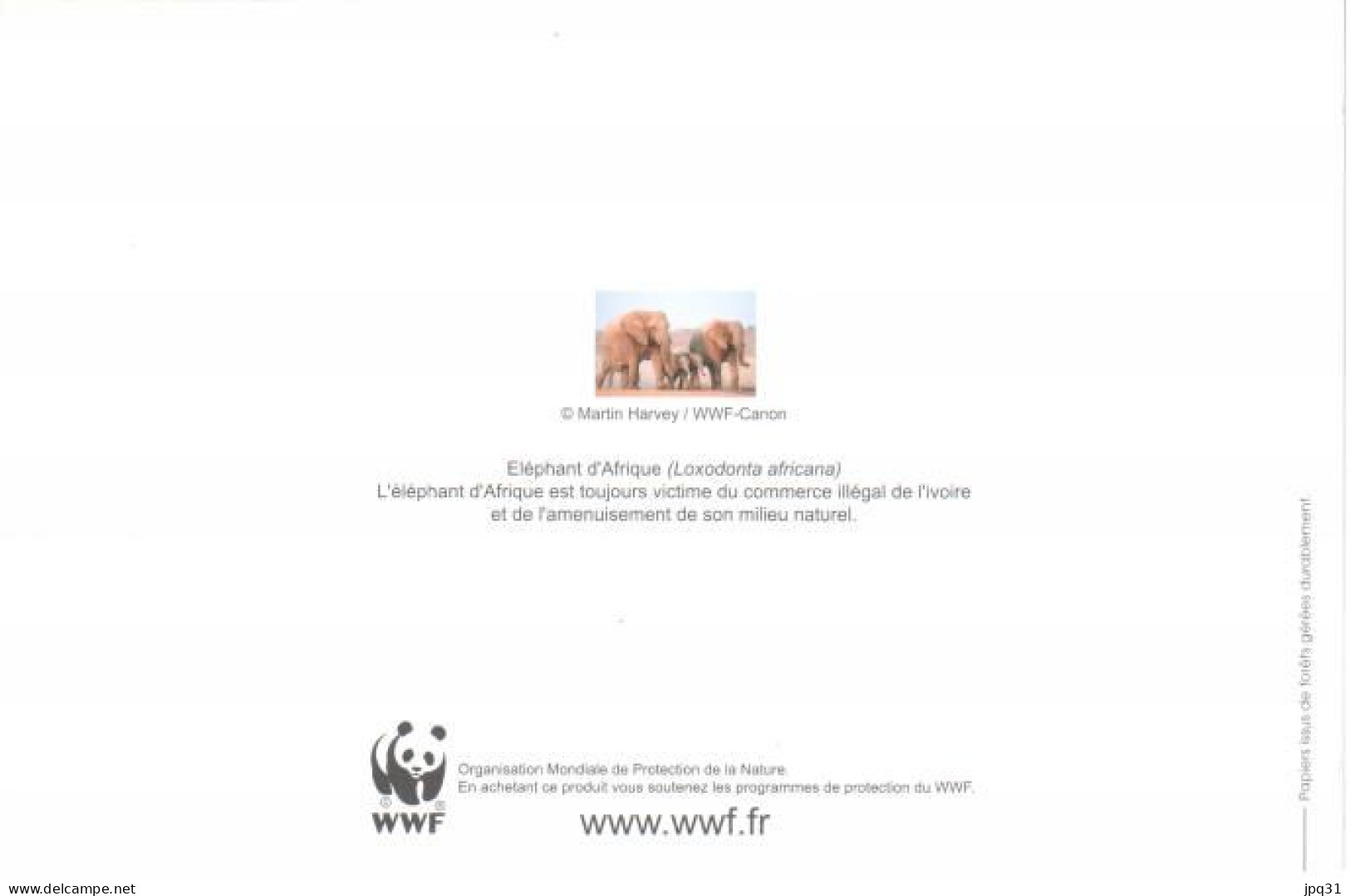 Carte Double WWF éléphant D'Afrique - Olifanten