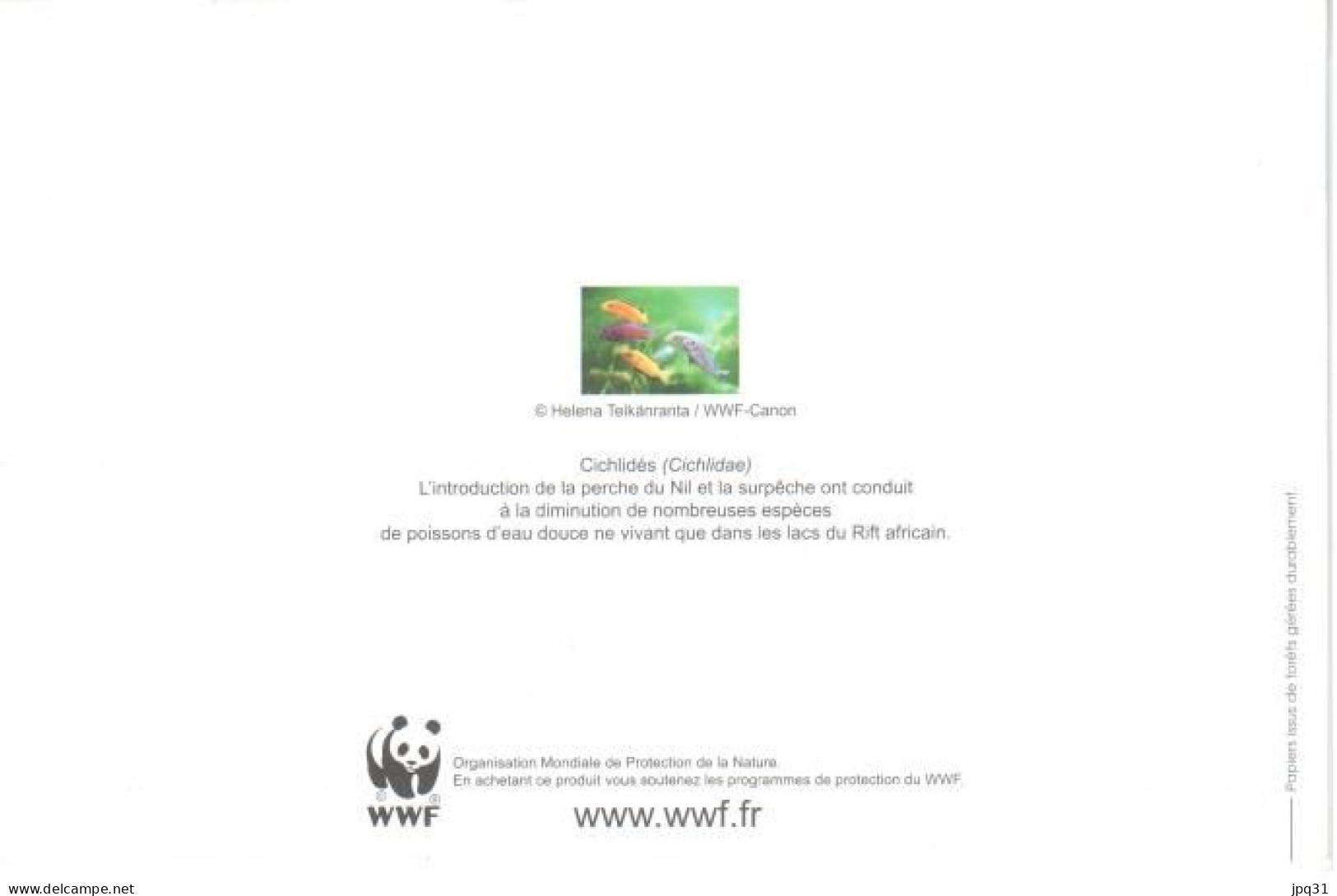 Carte Double WWF Cichlidés - Poissons Et Crustacés