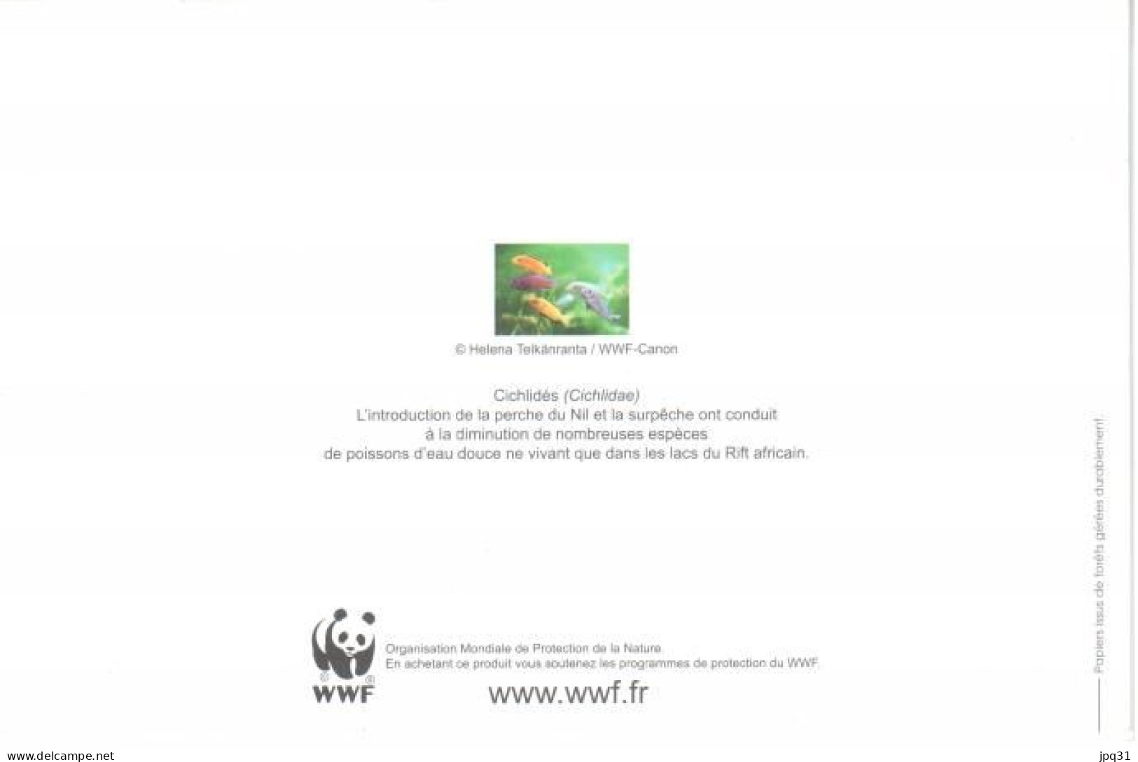 Carte Double WWF Cichlidés - Pesci E Crostacei