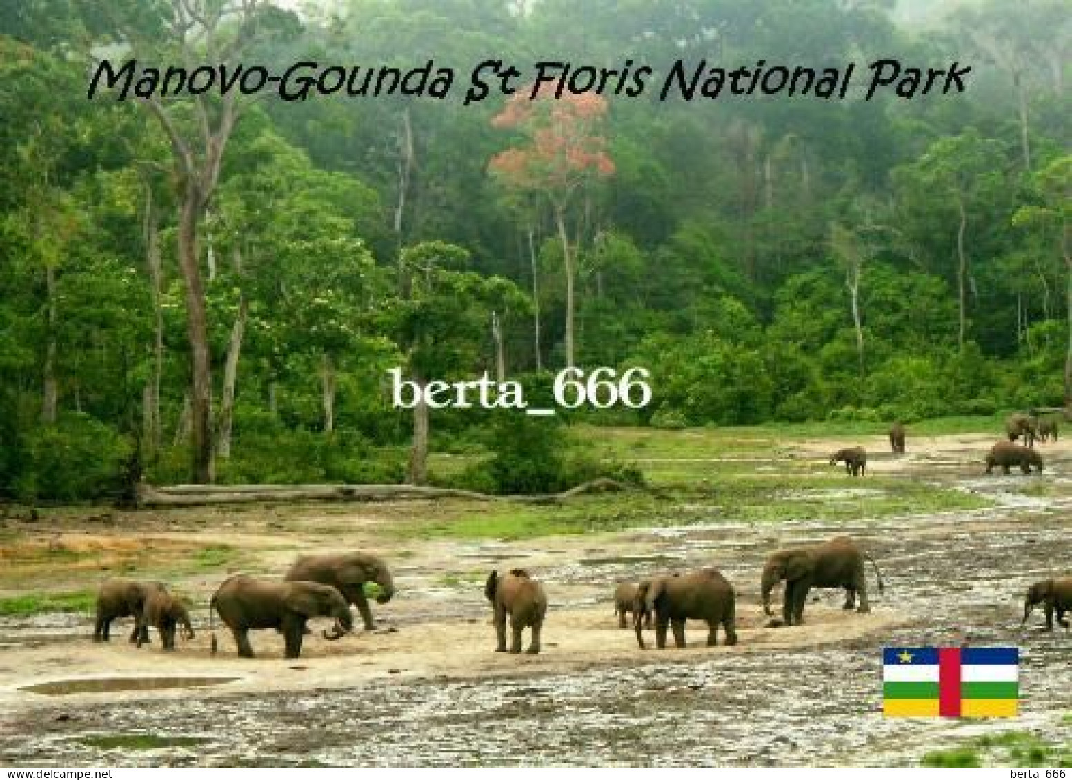 Central African Manovo-Gounda St. Floris National Park UNESCO New Postcard - Central African Republic