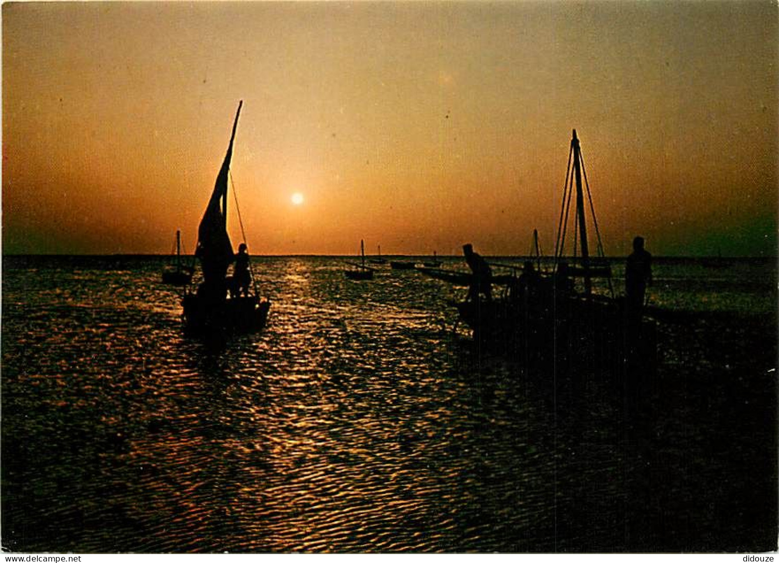 Coucher De Soleil - CPM - Voir Scans Recto-Verso - Tegenlichtkaarten, Hold To Light