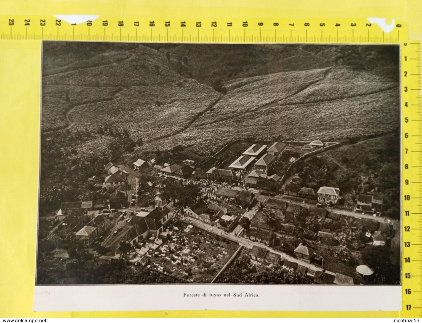 IT-00566- FORESTE DI TUYAS NEL SUD AFRICA 1931 - PANORAMA AEREO - Autres & Non Classés