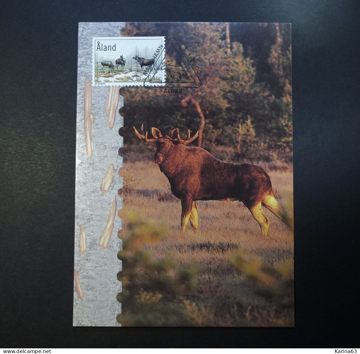 Aland - 2000 - Maxicard - Stamp N° 171 - Card N° 31 - Elks - Deer  Wild Life - Nature - Mariehamn / Algar FDC 01/03/2000 - Aland