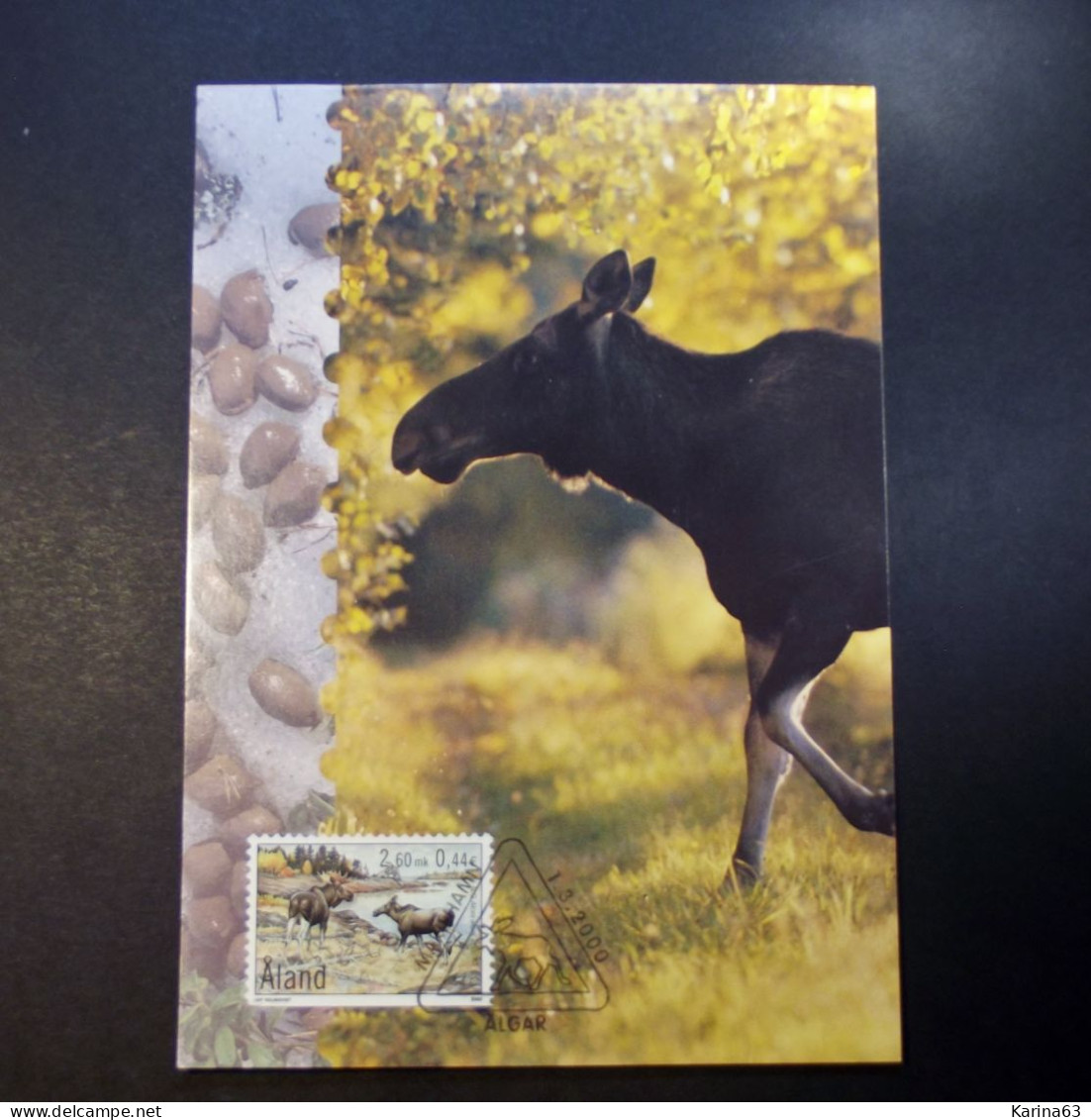 Aland - 2000 - Maxicard - Stamp N° 172 - Card N° 33 - Elks - Deer  Wild Life - Nature - Mariehamn / Algar FDC 01/03/2000 - Aland