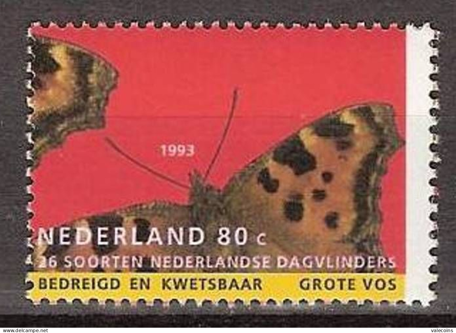 PAESI BASSI NETHERLANDS - 1993 - Nymphalis Polychloros - Stamp MNH - MyRef:GV - Ungebraucht