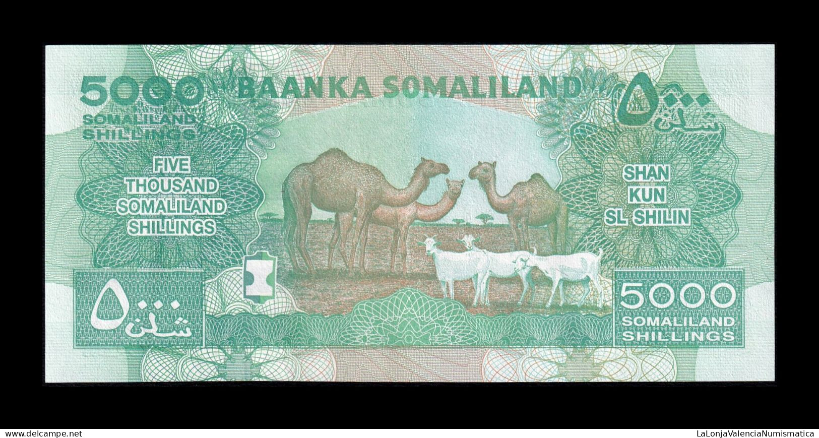 Somalilandia 5000 Shillings 2016 Pick 21d Sc Unc - Somalie