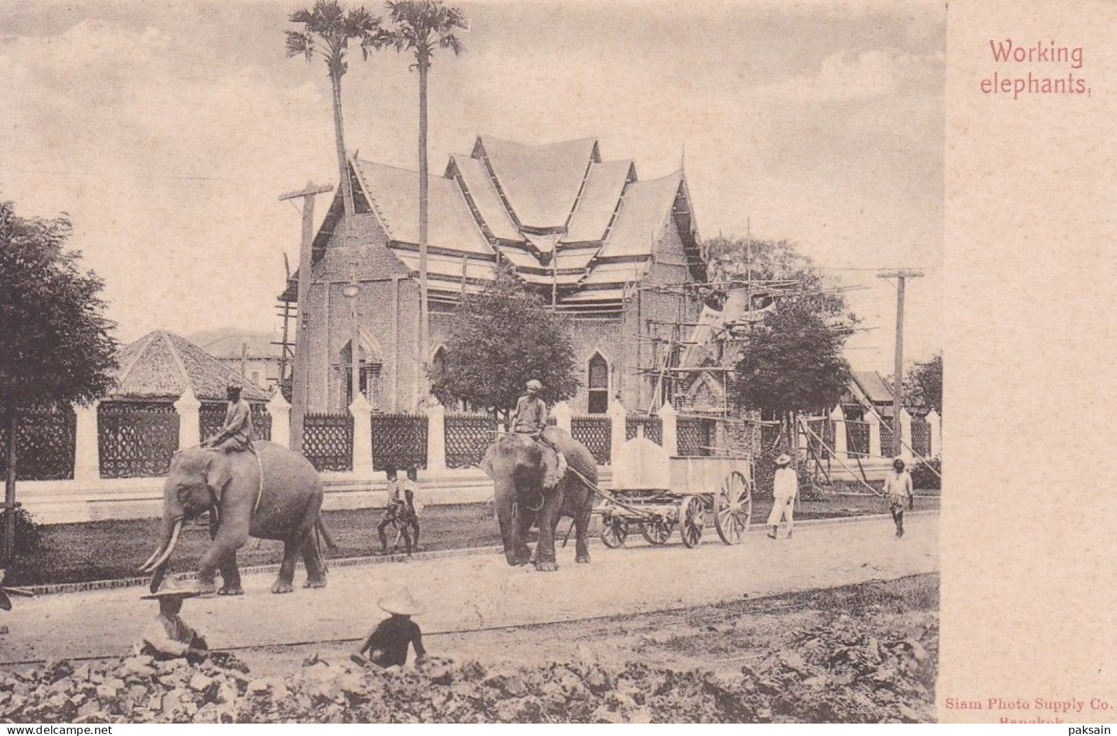 Working Elephant éléphants Bangkok ? Siam Thaïlande Thailand - Tailandia