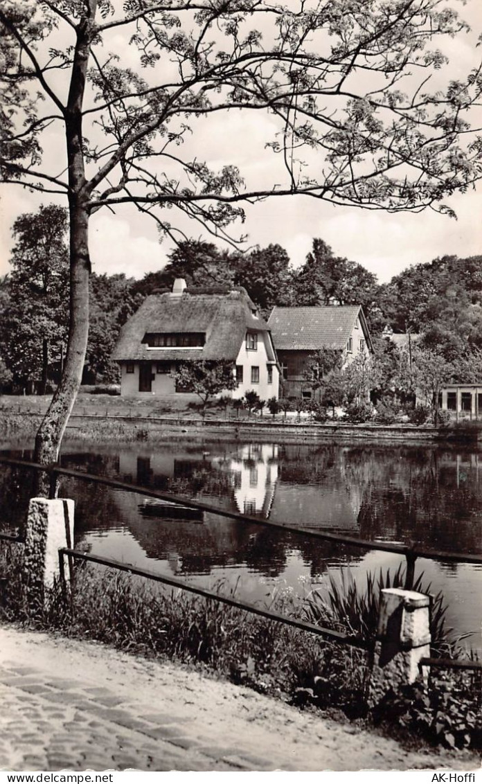 Itzehoe - Osterhofer Teich - Itzehoe