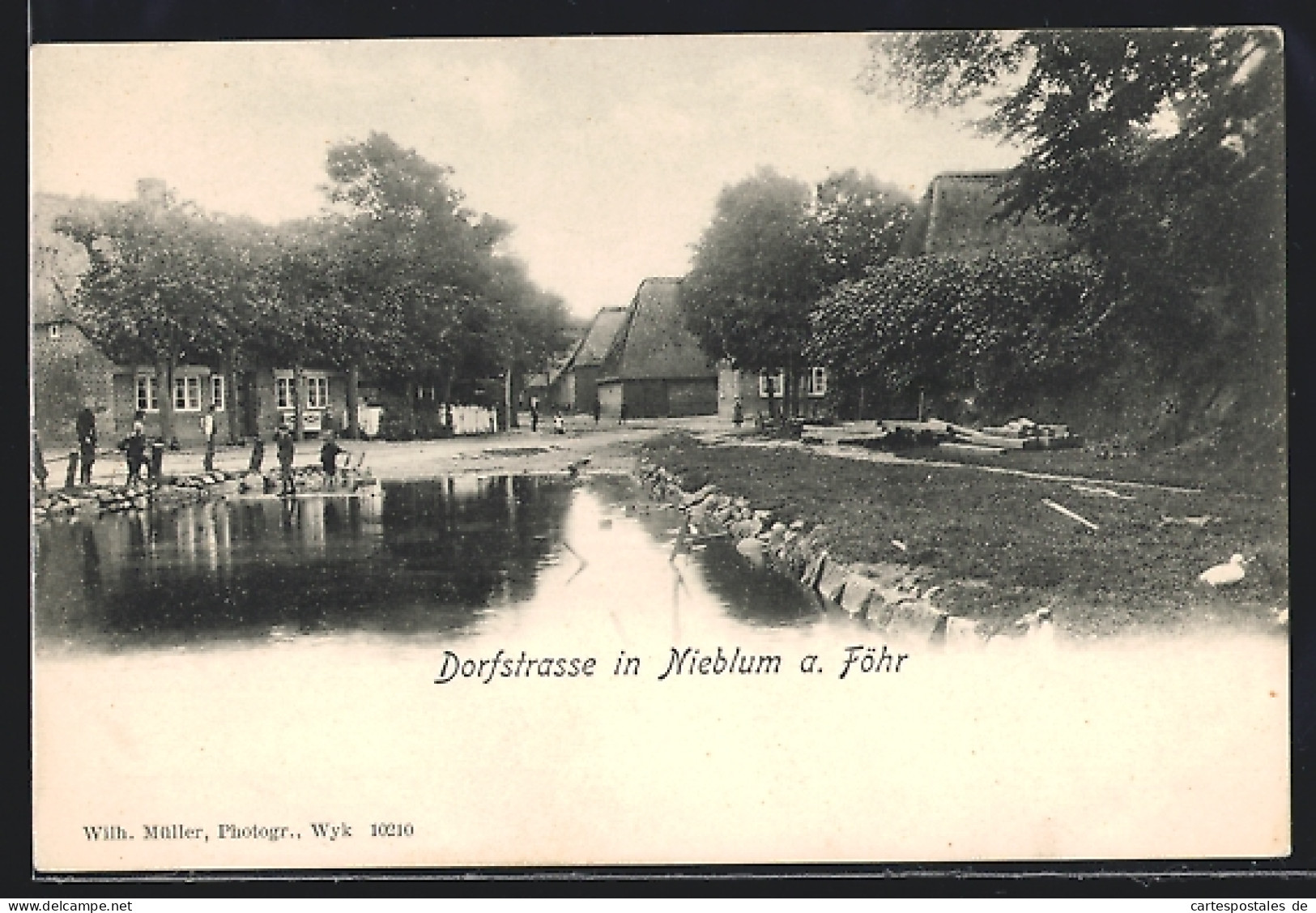 AK Nieblum / Föhr, Dorfstrasse  - Föhr