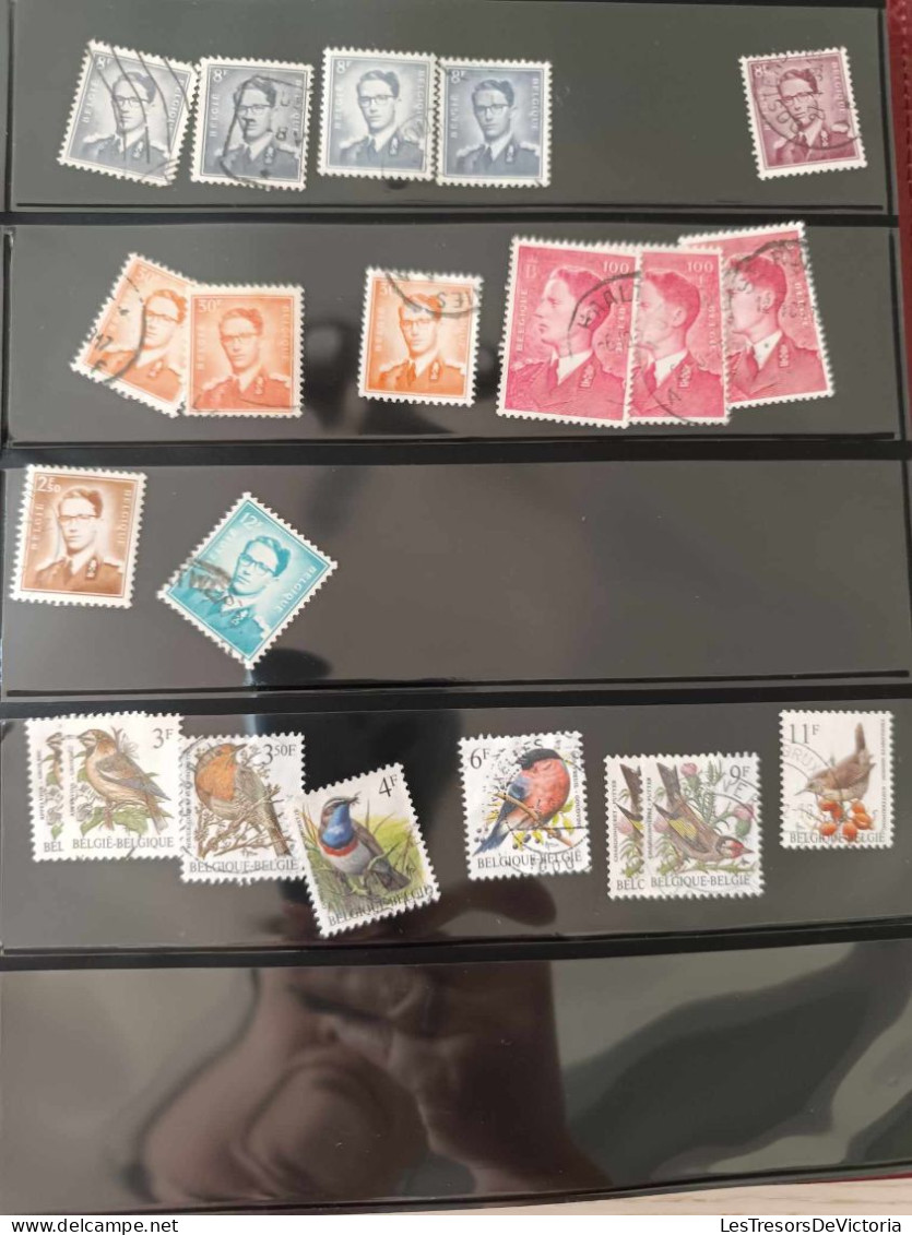 Album De Timbres - Belgique - Timbres Neuf Et Oblitérés - Album Cuir Bordeau - 20 étuis - Groot Formaat, Blanco Pagina