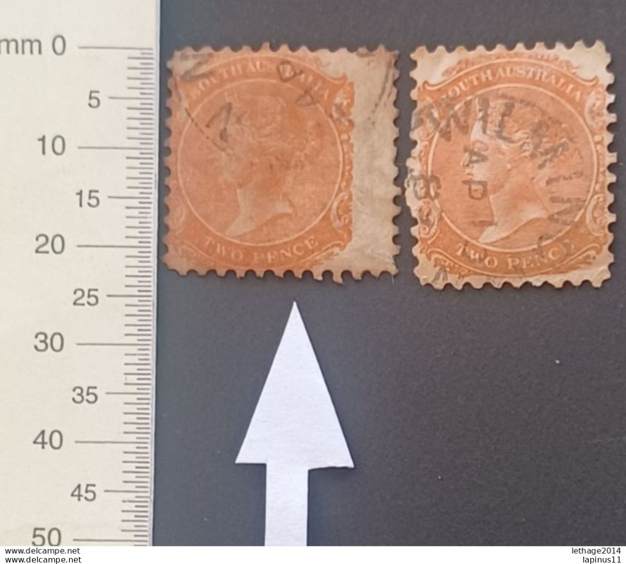 SOUTH AUSTRALIA 1868 QUEEN VICTORIA CAT GIBBONS N 157 PERF 9 VARIETY OF DRILLING, AND MEASUREMENT ERROR - Oblitérés