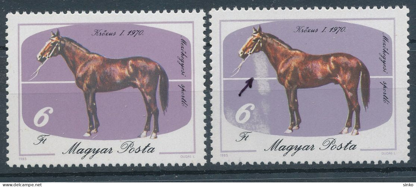 1985. The Horse-breeding In Mezőhegyes Is 200 Years Old - Misprint - Variedades Y Curiosidades