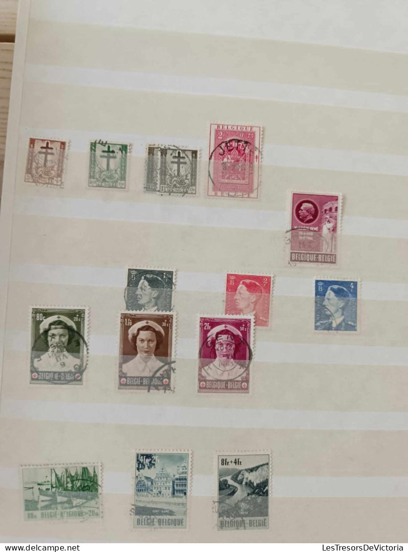 Album timbres - Belgique - neufs et oblitérés - Thèmes divers - Croix rouge - roi