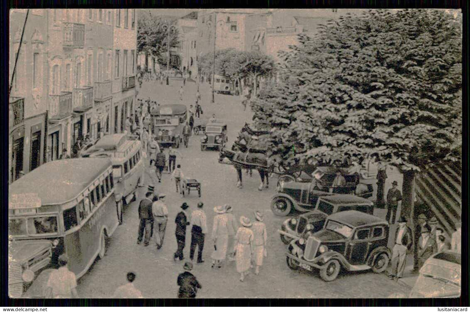 SÃO MIGUEL - PONTA DELGADA - Uma Rua De Ponta Delgada. ( Ed. Pêbêcê - Terra Nostra) Carte Postale - Açores