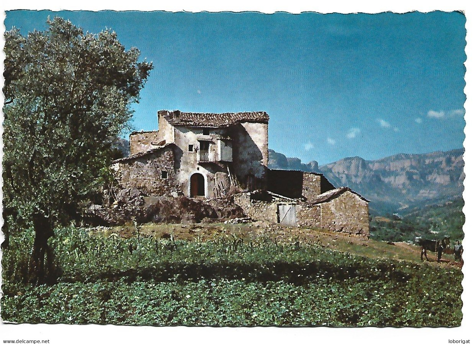 " LA MASIA" / " LE MANSE ".- POBLA DE SEGUR / LLEIDA.-  ( CATALUNYA) - Lérida