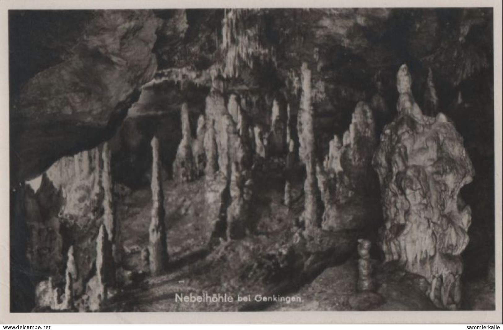 61315 - Sonnenbühl-Genkingen - Nebelhöhle - Ca. 1955 - Reutlingen