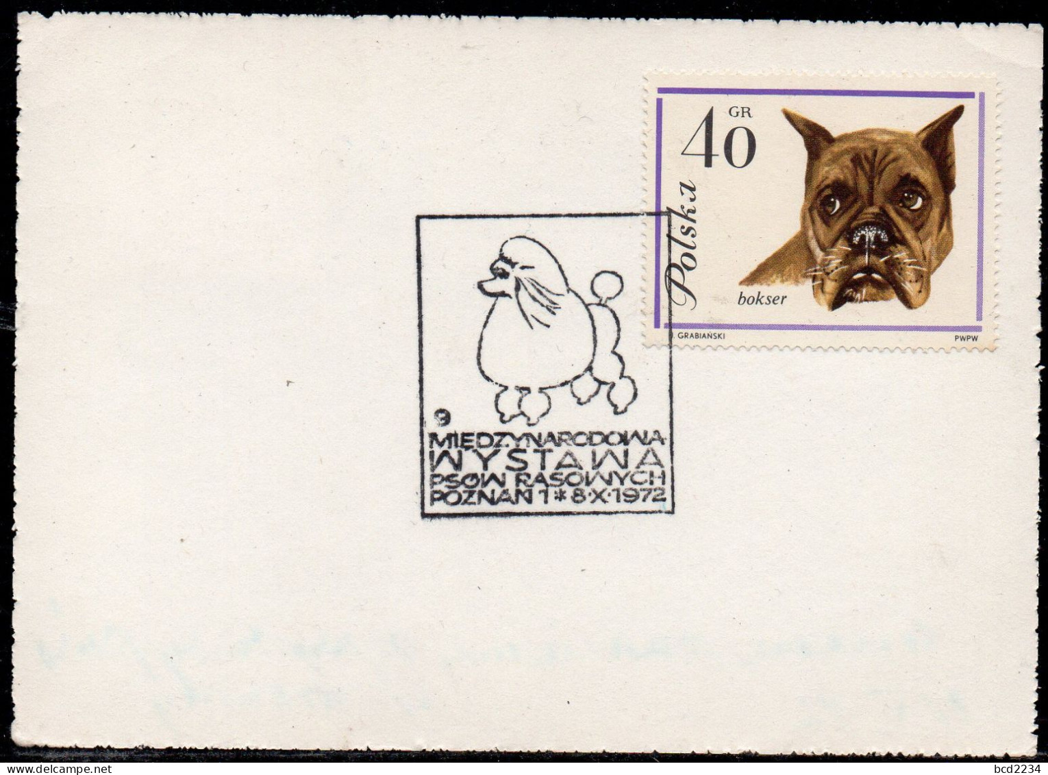 POLAND 1972 IX INTERNATIONAL PEDIGREE DOG SHOW POZNAN SPECIAL CANCEL ON CARD POODLE DOGS POLISH - Honden