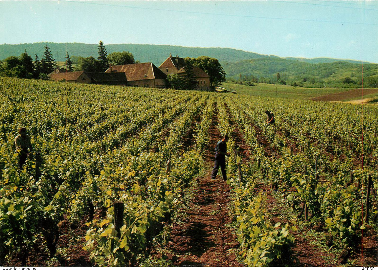 JURA DOMAINE DU SORBIEF PROPRIETE HENRI MAIRE PAYSAGE ROMANTIQUE(scan Recto-verso) KEVREN0463 - Arbois