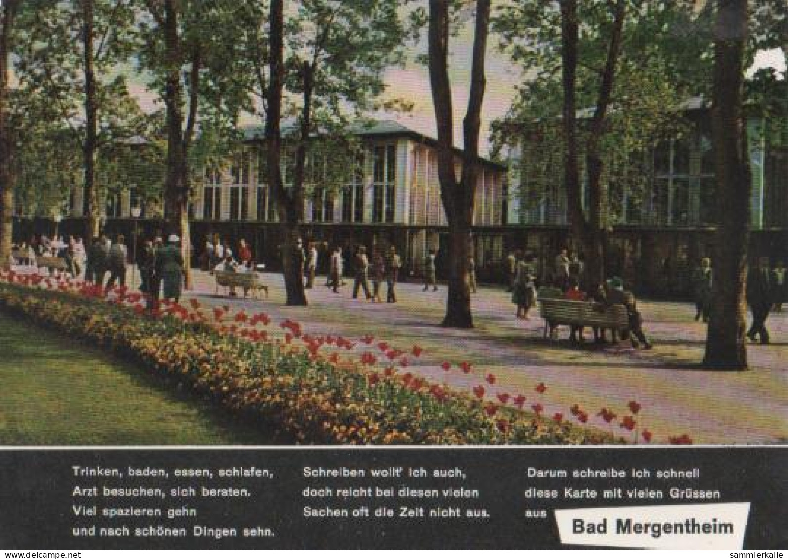 20783 - Bad Mergentheim - Kurpark - 1975 - Bad Mergentheim