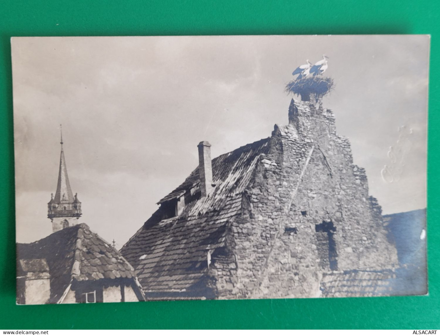 Obernai , Carte Photo , Nid De Cigognes , Editeur Jaeck - Obernai