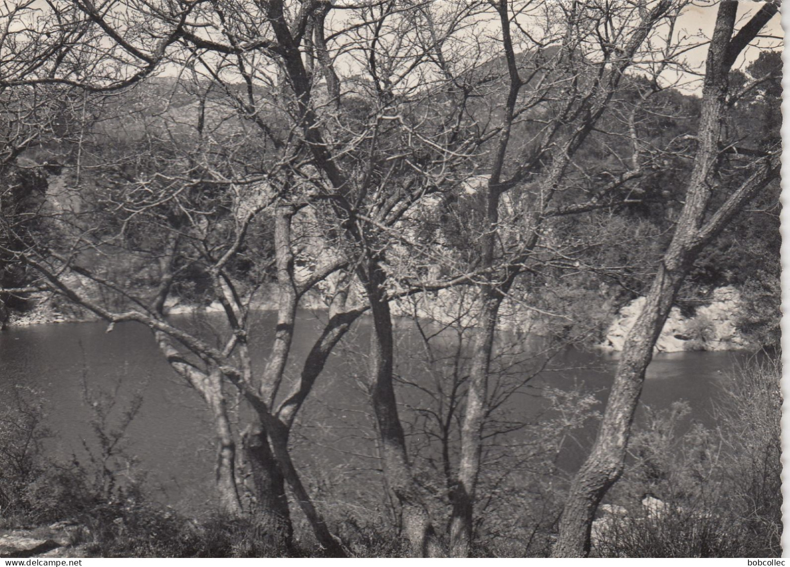 LA ROQUEBRUSSANNE (Var): Le Lac Laoucien - La Roquebrussanne