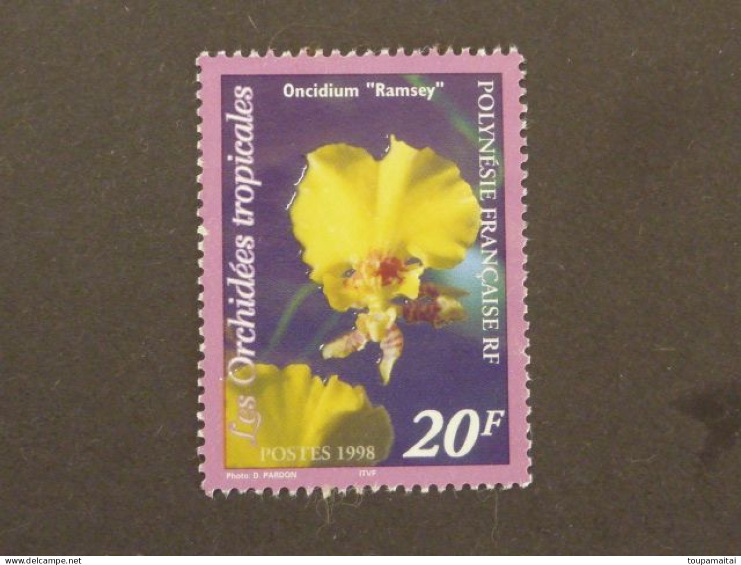 POLYNESIE FRANCAISE, Année 1998, YT N° 561 MNH*. Orchidée Oncidium Ramsey - Ongebruikt