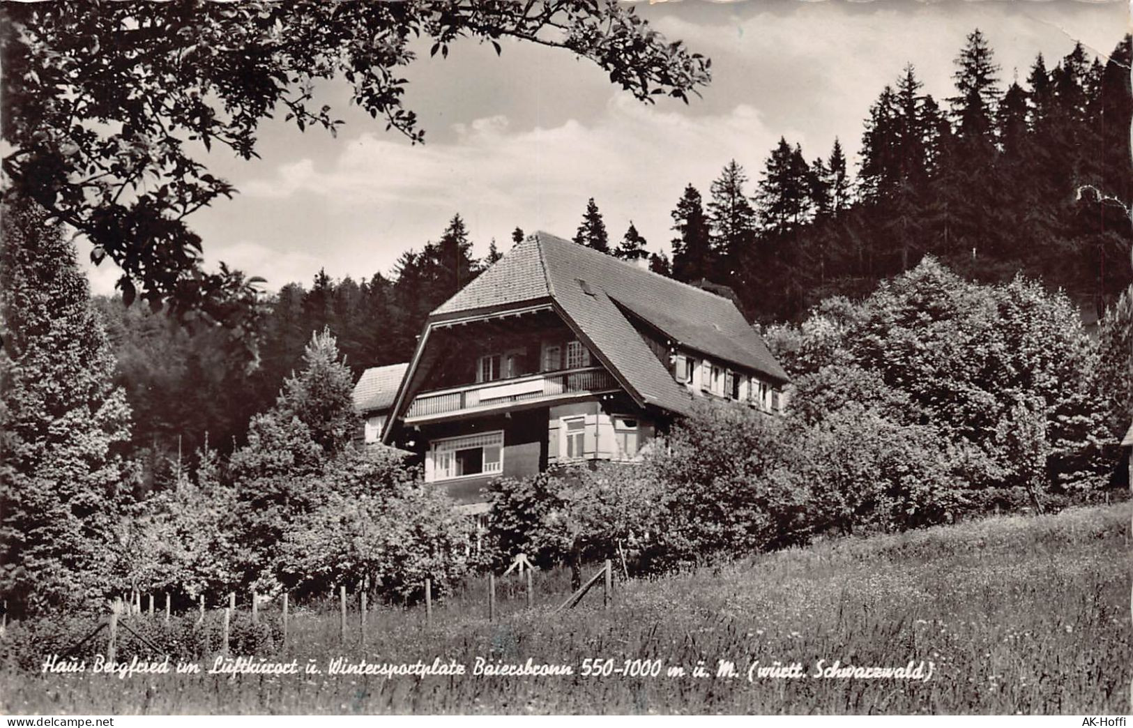 Baiersbronn - Haus Bergfried - Baiersbronn