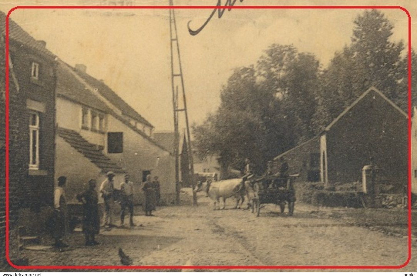 Ramillies - Belgique : La Commune - Attelage Boeufs - Belle Scène à La Ferme Des Années 1930. - Ramillies